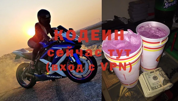 прущие грибы Карталы